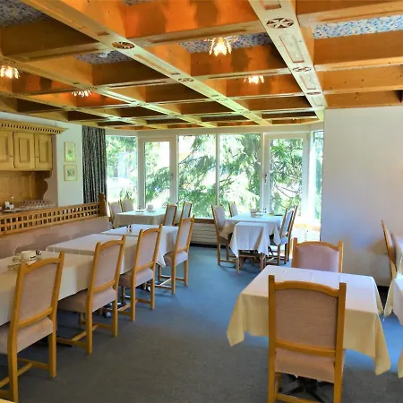 Buendnerhof Davos