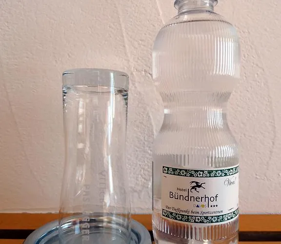 Hotel Buendnerhof Davos